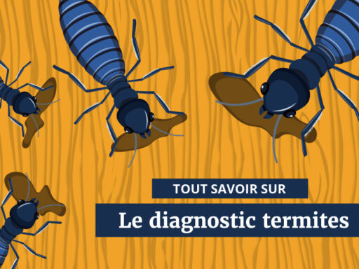 Illustration de termites sur un fond en bois avec le texte 'Tout savoir sur le diagnostic termites'