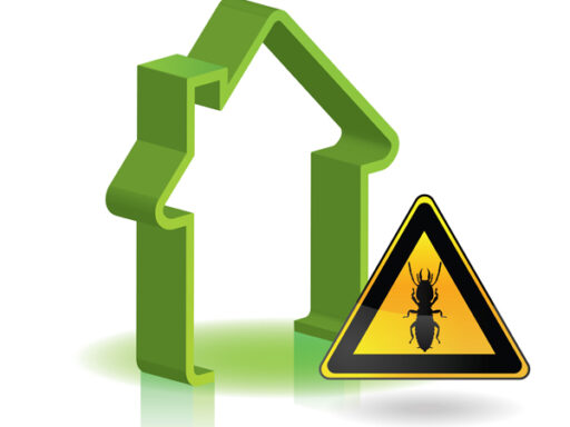 Inspecteur certifié effectuant un diagnostic termites dans une maison en Guadeloupe