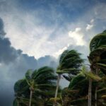 Influence du climat sur les diagnostics immobiliers en Guadeloupe