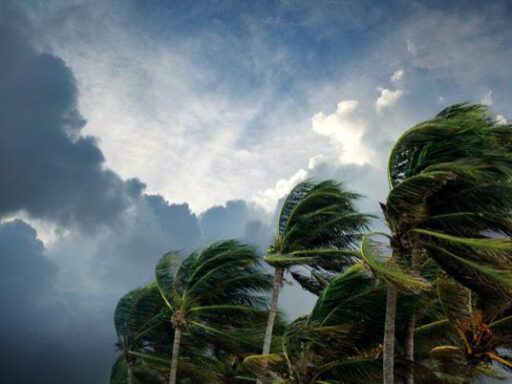 Influence du climat sur les diagnostics immobiliers en Guadeloupe